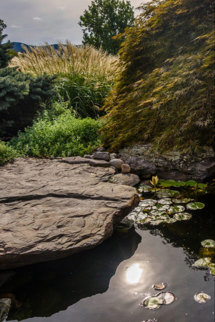 Clearwater Landscape & Nursery Hardscape Water Feature Pond Landscape Plantings
