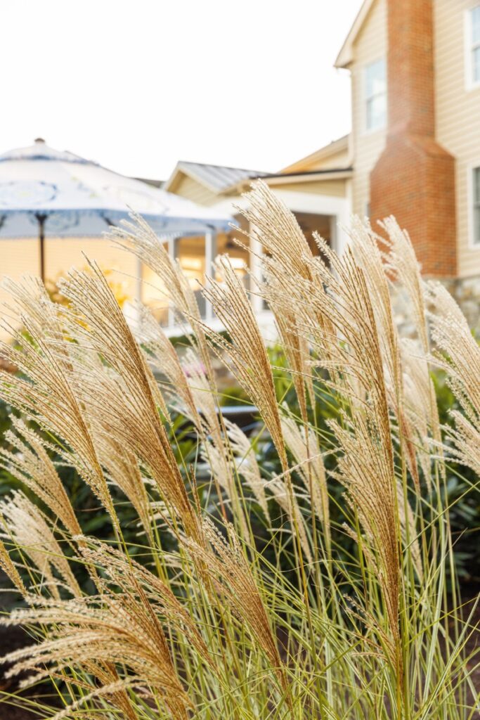 Clearwater Landscape & Nursery Landscape Plantings