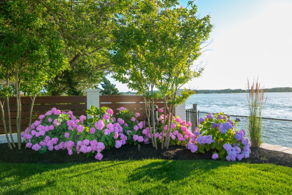 Planting bed next to bay in ocean city maryland
